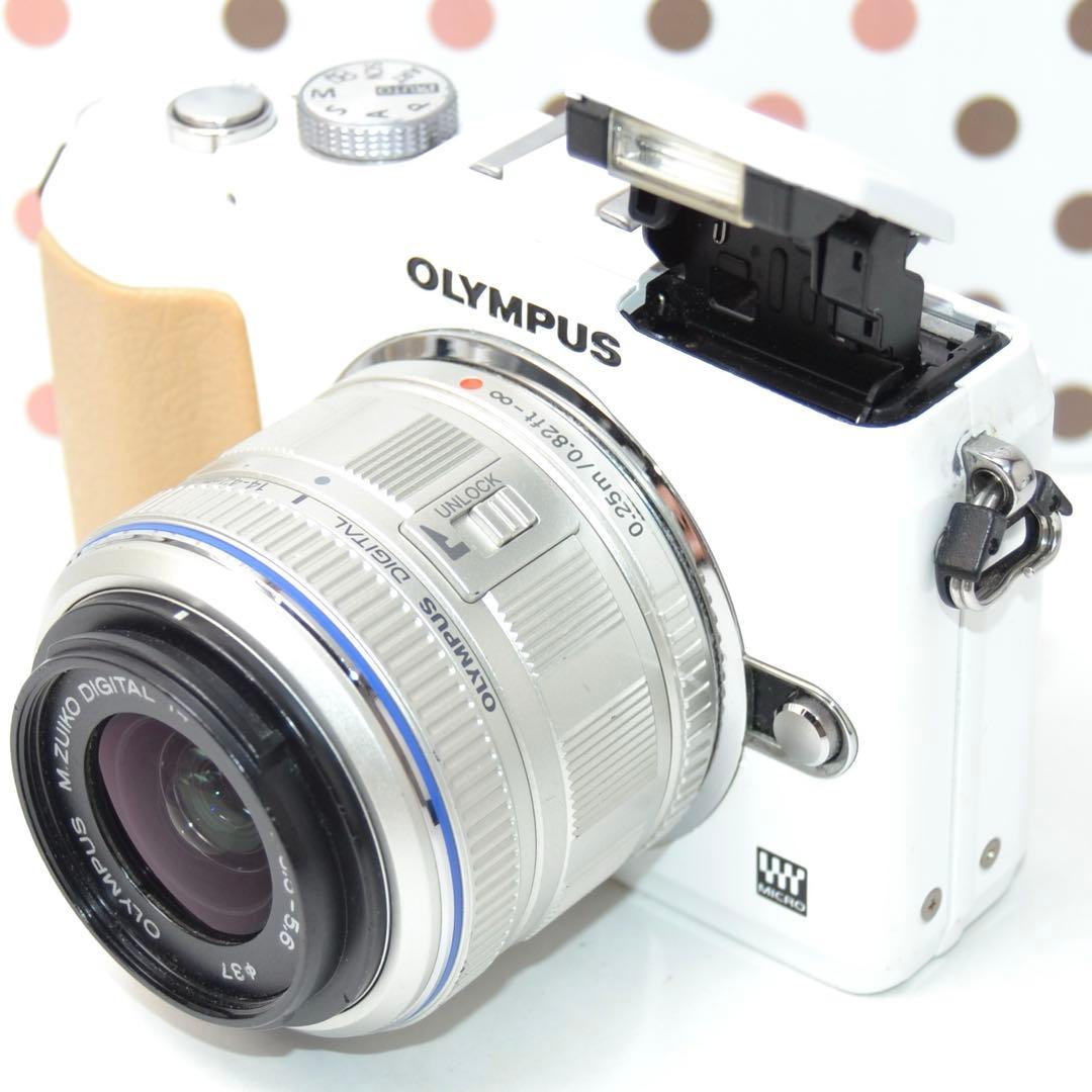 Olympus Mirrorless Interchangeable Lips Pl2