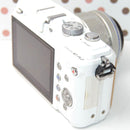 Olympus Mirrorless Interchangeable Lips Pl2