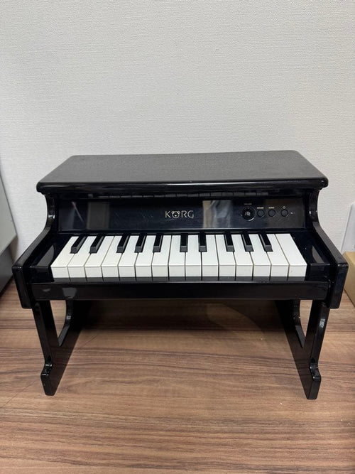 Korg Keyboard Electronic Piano Tinypiano