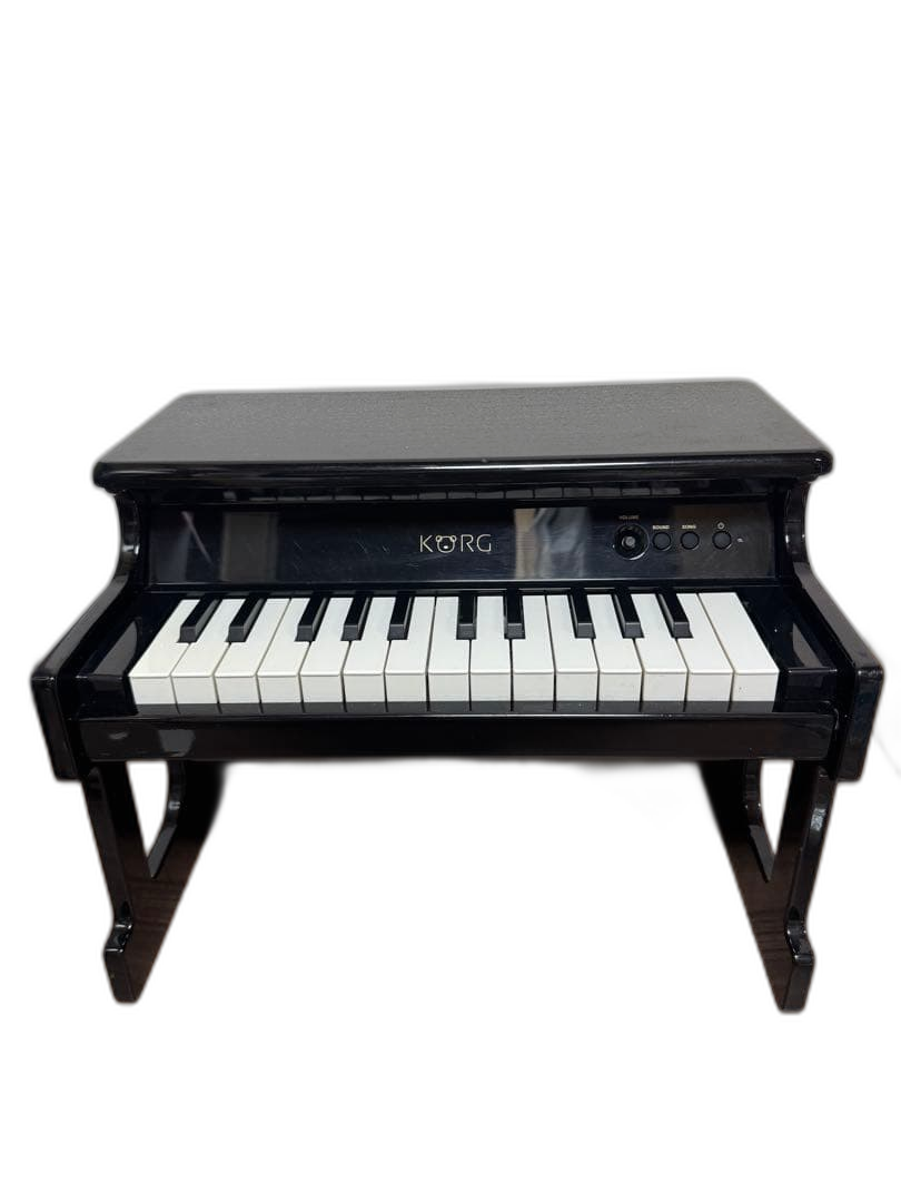 Korg Keyboard Electronic Piano Tinypiano