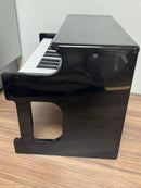 Korg Keyboard Electronic Piano Tinypiano