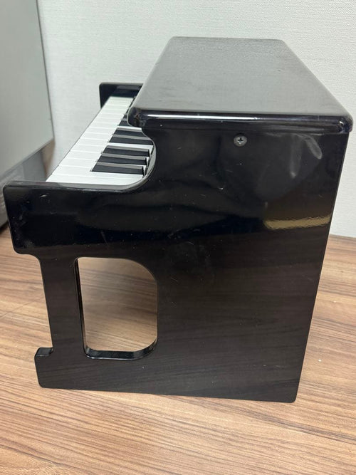 Korg Keyboard Electronic Piano Tinypiano