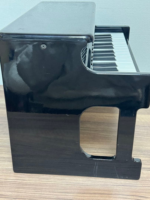 Korg Keyboard Electronic Piano Tinypiano