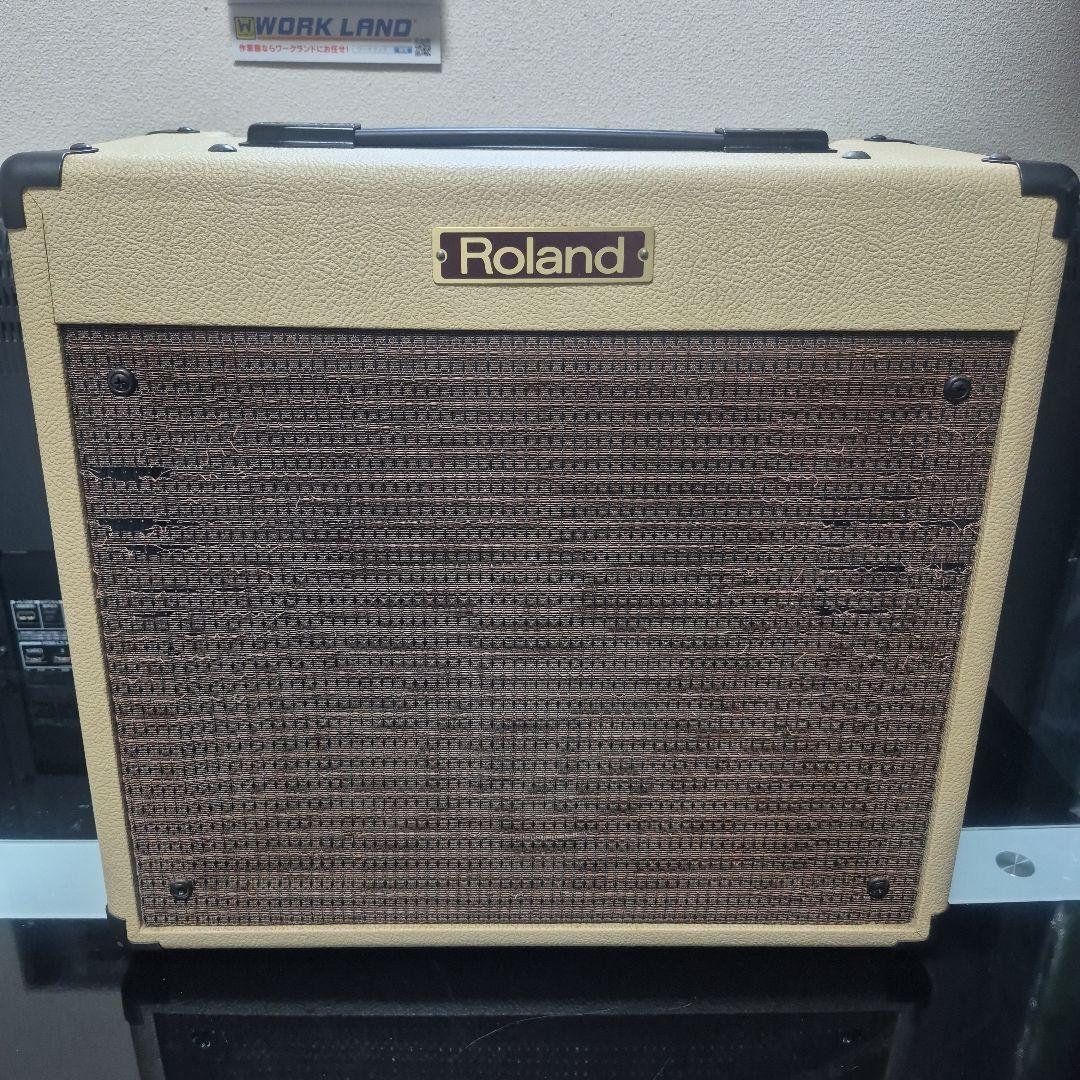 Roland Guitar Amplifier Bc-30Bluescube