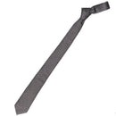 Christian Dior Tie