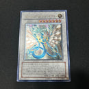 Yu -Gi -Oh! Ocg Duel Monsters Anpr