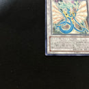 Yu -Gi -Oh! Ocg Duel Monsters Anpr