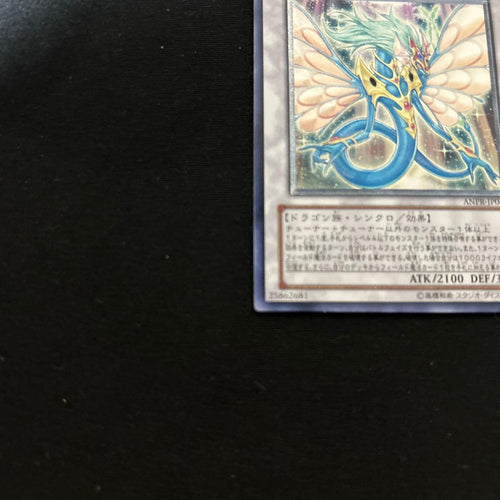 Yu -Gi -Oh! Ocg Duel Monsters Anpr