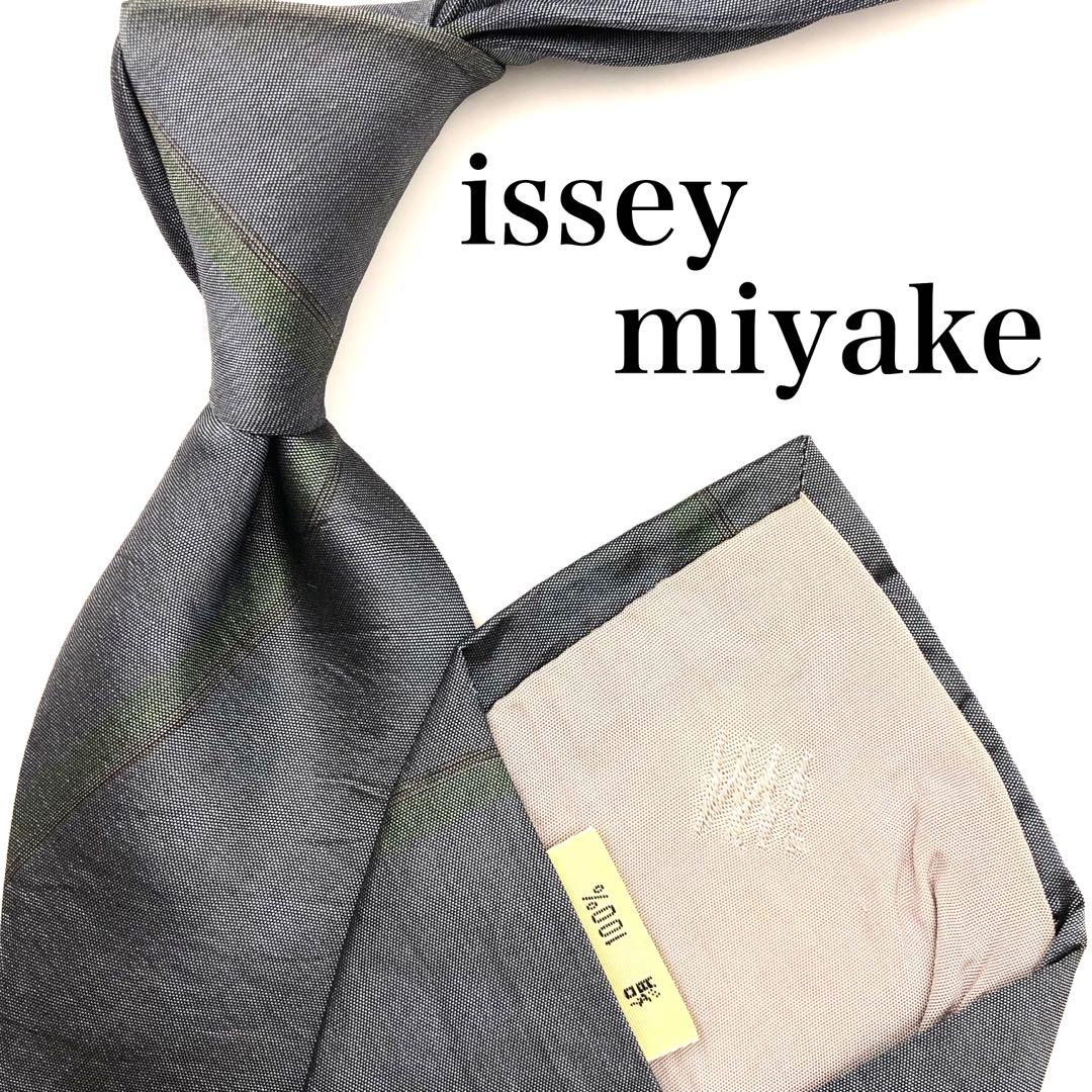 Issey Miyake Ties