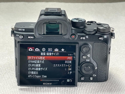 Sony Mirrorless Interchangeable Lens Cameras 7 Iii