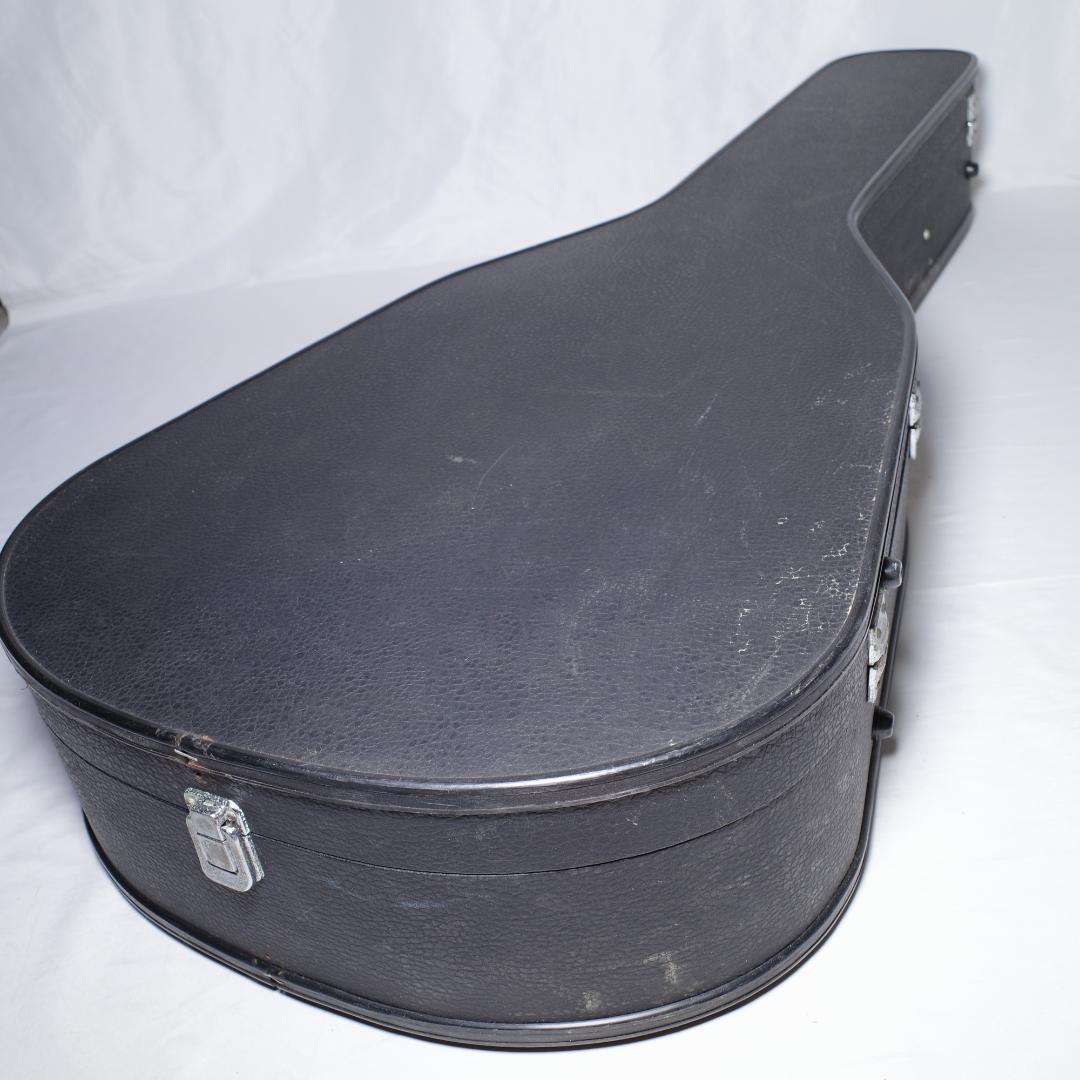 Yamaha Guitar Cases