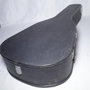 Yamaha Guitar Cases