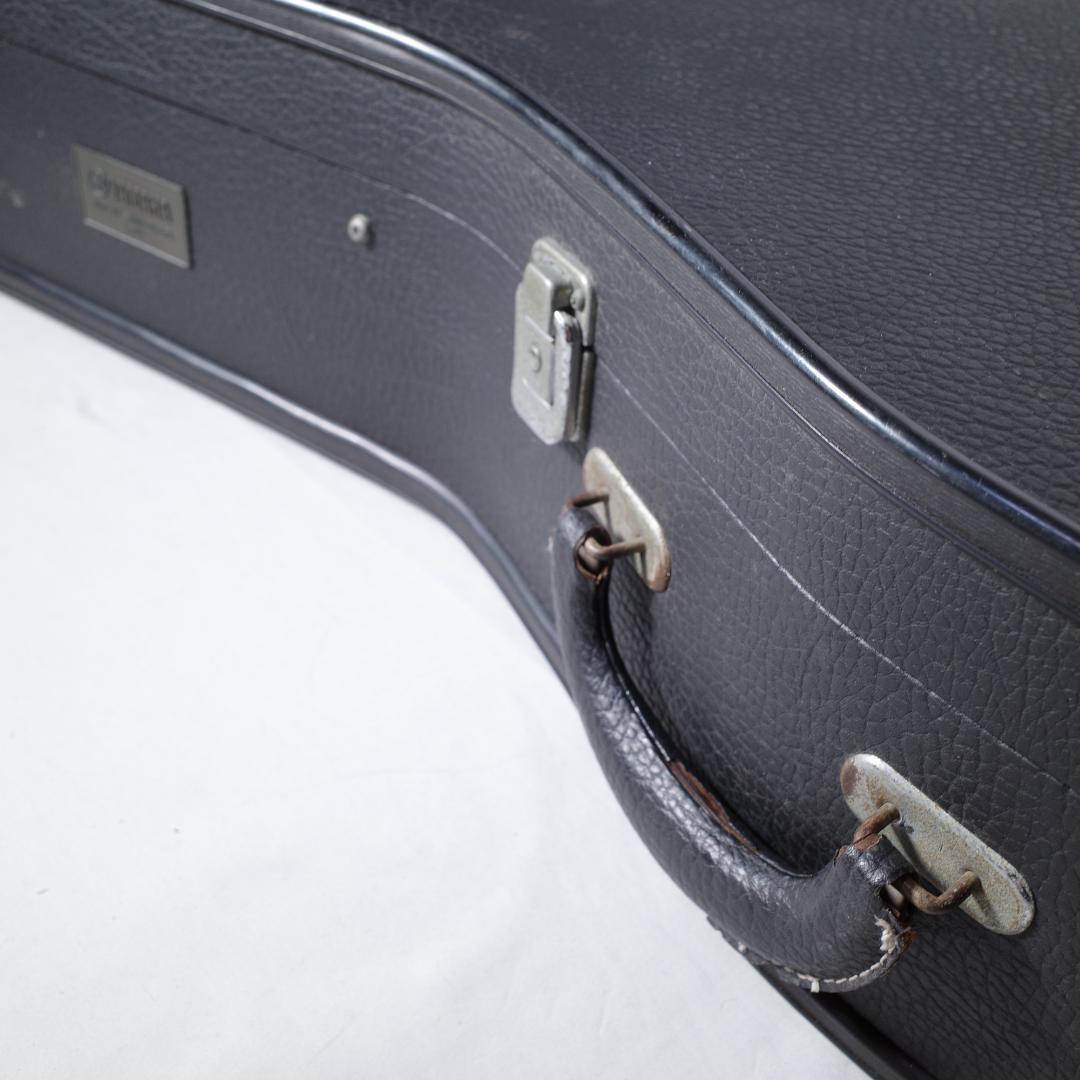 Yamaha Guitar Cases