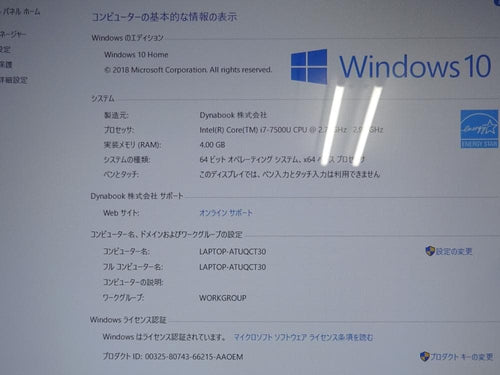 Dynabook Windows Laptops T65/Cg/