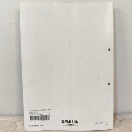Yamaha Motor Catalogs Manuals Xg250 Dg10J