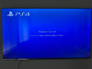 Sony Body Ps4