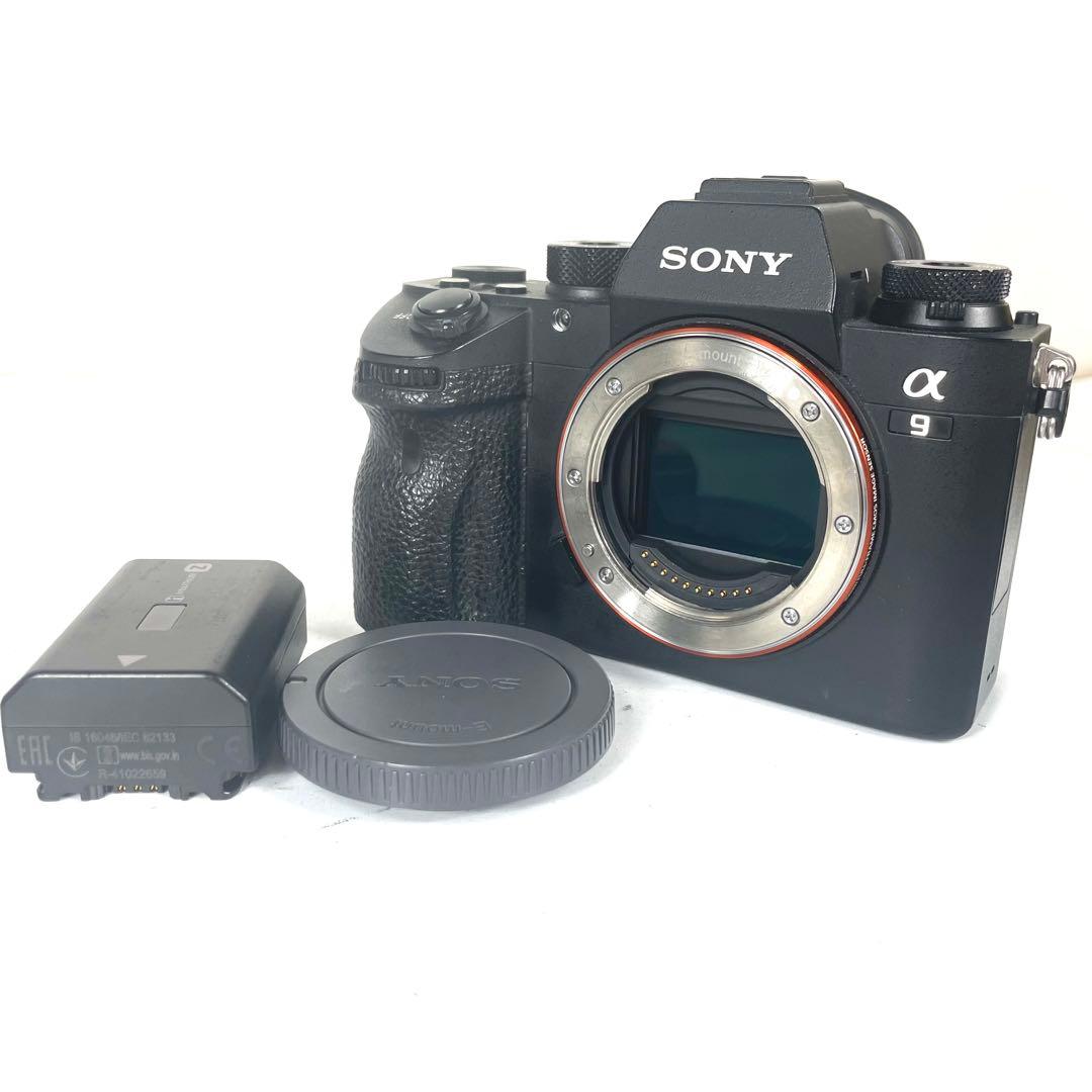 Mirrorless Interchangeable Lens Cameras Sony 9