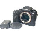 Mirrorless Interchangeable Lens Cameras Sony 9