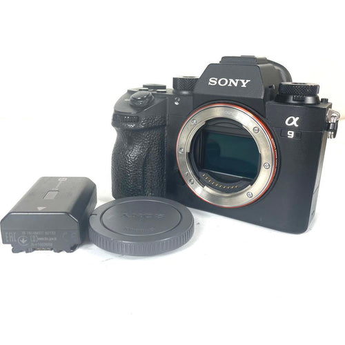 Mirrorless Interchangeable Lens Cameras Sony 9
