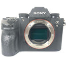 Mirrorless Interchangeable Lens Cameras Sony 9