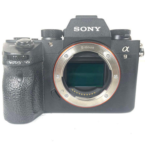Mirrorless Interchangeable Lens Cameras Sony 9