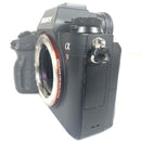 Mirrorless Interchangeable Lens Cameras Sony 9