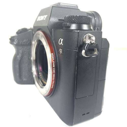 Mirrorless Interchangeable Lens Cameras Sony 9