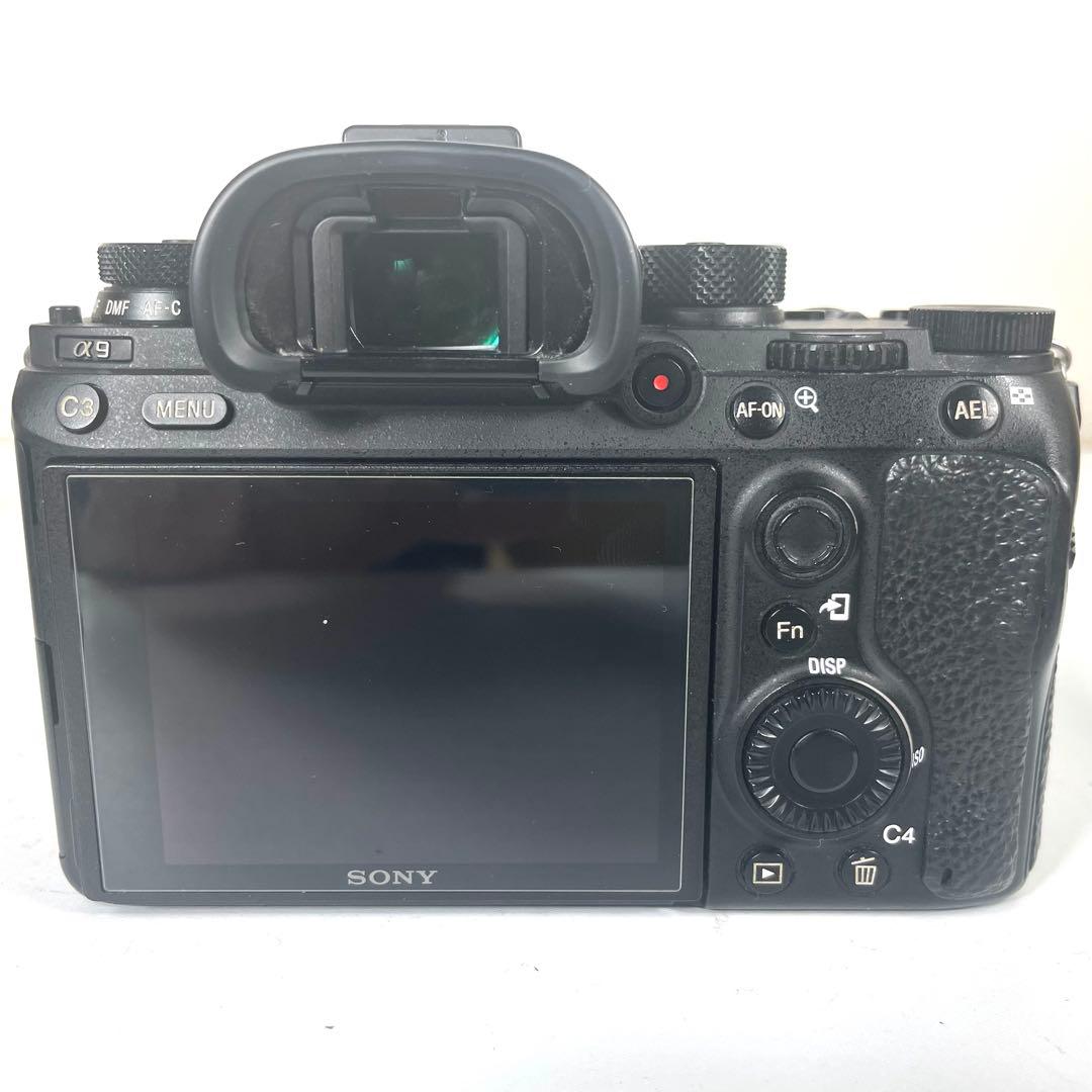 Mirrorless Interchangeable Lens Cameras Sony 9