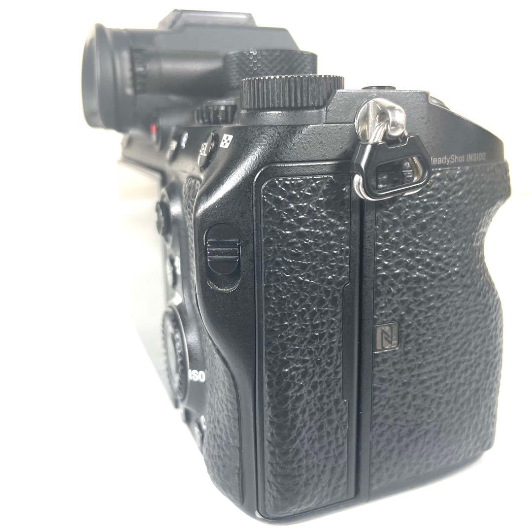 Mirrorless Interchangeable Lens Cameras Sony 9
