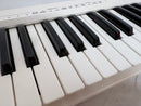 Roland Keyboard Electronic Piano Midi A-49 Wh 49 2300-4854
