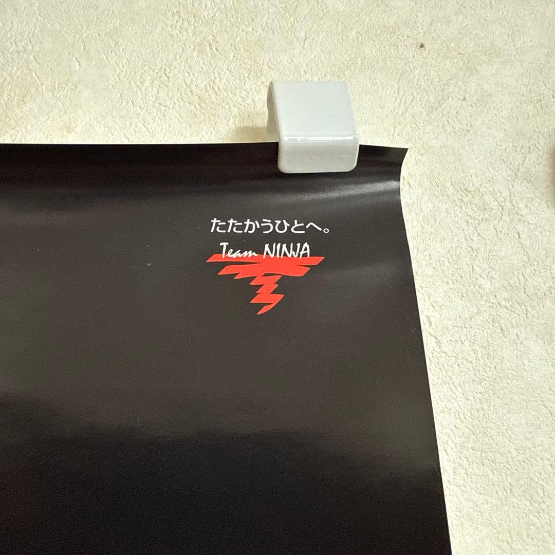 Others Ninja Gaiden(