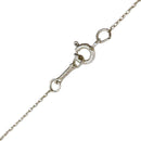 Tiffany Necklace Sv925