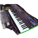 Roland Analog Synthesizer Juno-Di