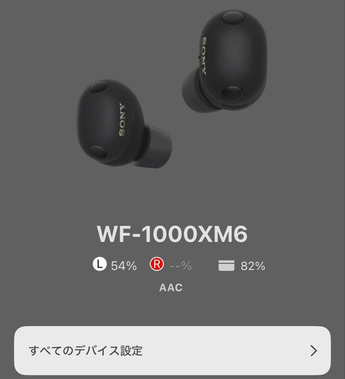 Sony Wireless Earphones Wf-1000Xm6