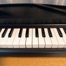 Korg Keyboard Instruments Micropiano 61