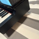 Korg Keyboard Instruments Micropiano 61
