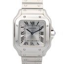Cartier Others Sm Wssa0082 Used A