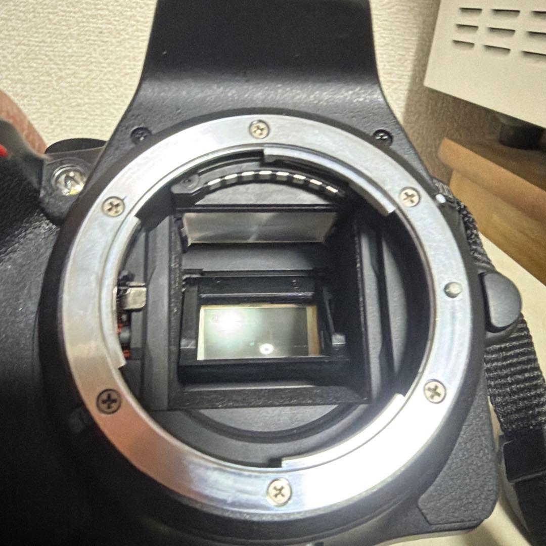 Nikon Digital Slr D5600 Nikkor 18-300 3.5-5.6G Vr