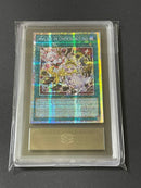 Yu-Gi-Oh! Ocg Duel Monsters (Japanese) Ars10 M Lice In Underground