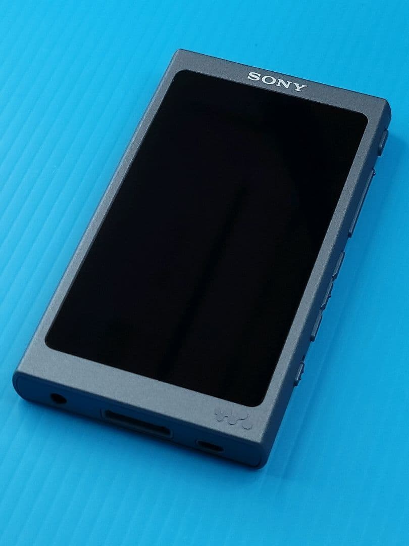 Sony Digital Audio Players Walkman Nw-A45 L