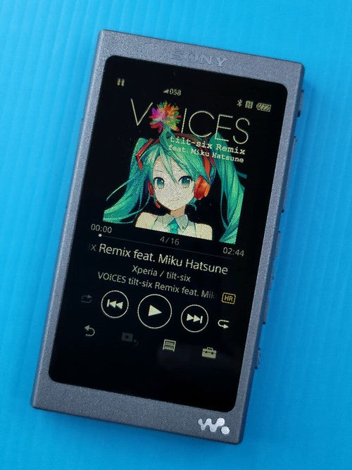 Sony Digital Audio Players Walkman Nw-A45 L