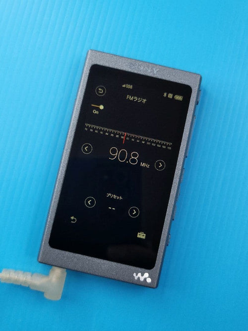 Sony Digital Audio Players Walkman Nw-A45 L