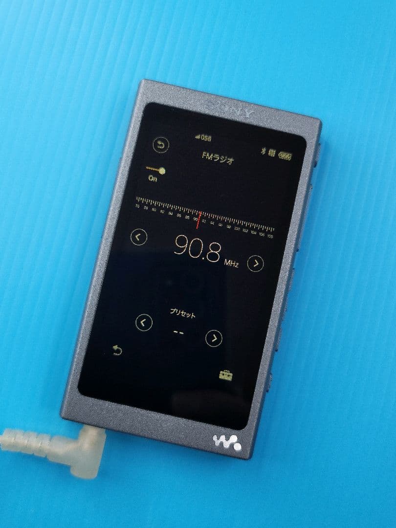 Sony Digital Audio Players Walkman Nw-A45 L