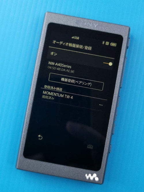 Sony Digital Audio Players Walkman Nw-A45 L