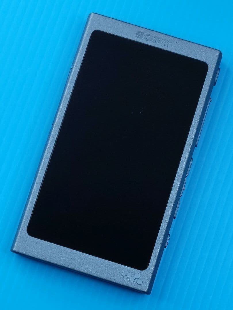 Sony Digital Audio Players Walkman Nw-A45 L