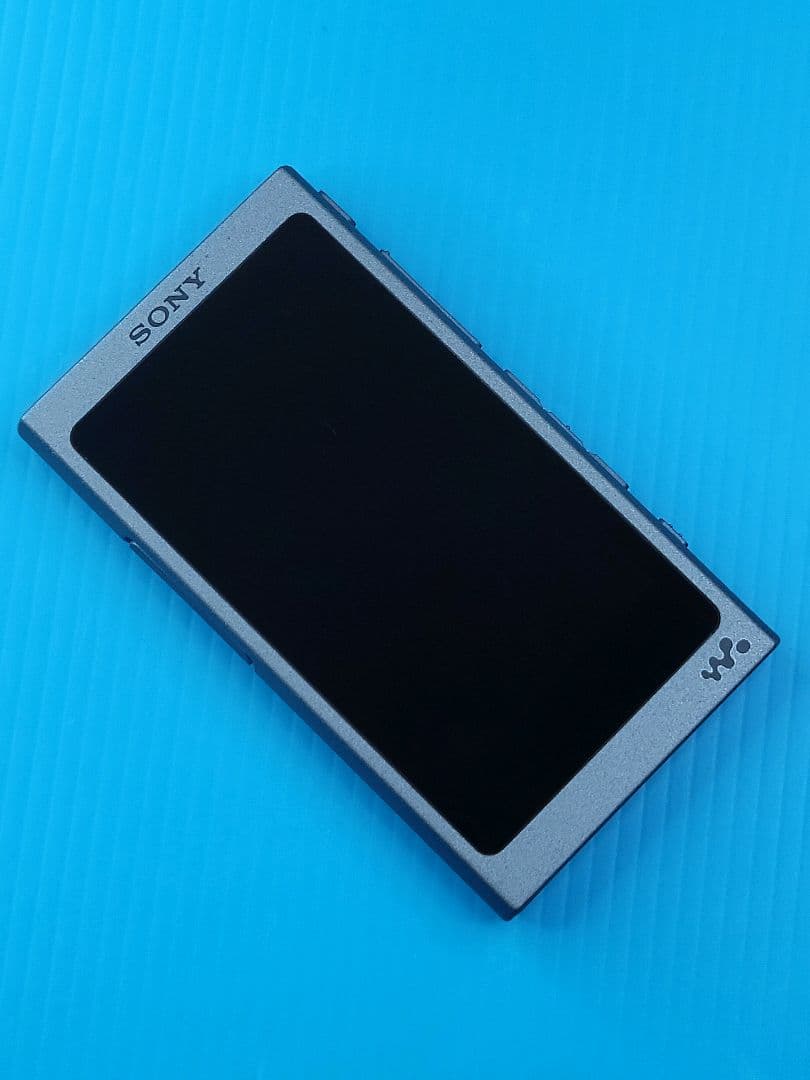 Sony Digital Audio Players Walkman Nw-A45 L