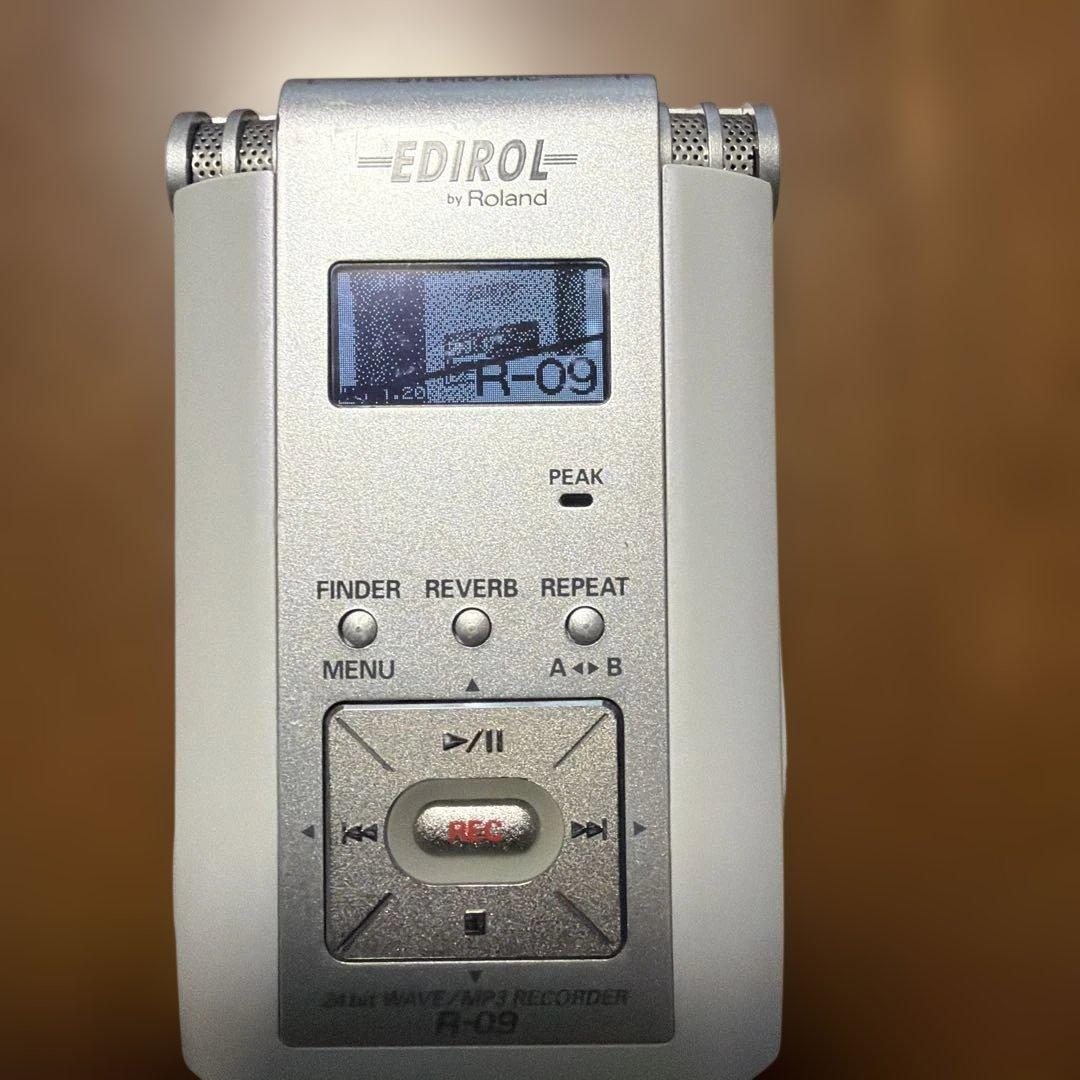 Edirol Ic Recorders Voice Roland R-09 Wave/Mp3