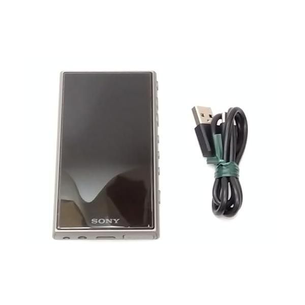 Sony Others 16Gb A Nw-A105 Mp3 Bluetooth Android