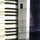 Roland Keyboard Electronic Piano Fp-2