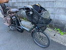 Sports Type Yamaha Pas Kiss 12.8Ah 4